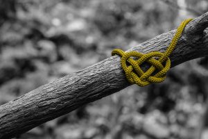 ADVANCA Inšpiratívne čítanie. Emócie