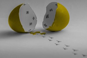 ADVANCA Blog